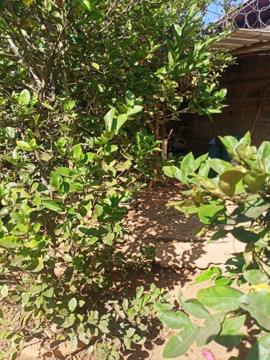 terreno-venda-bairro-tereza-cristina-em-sao-joaquim-de-bicas--1023184