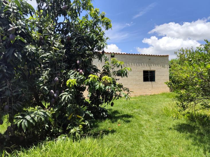 chacara-venda-bairro-boa-vista-mateus-leme-1014534