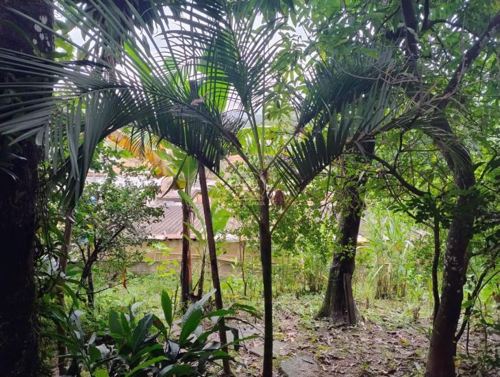 casa-venda-bairro-pedra-branca-em-sao-joaquim-de-bicas--1015708