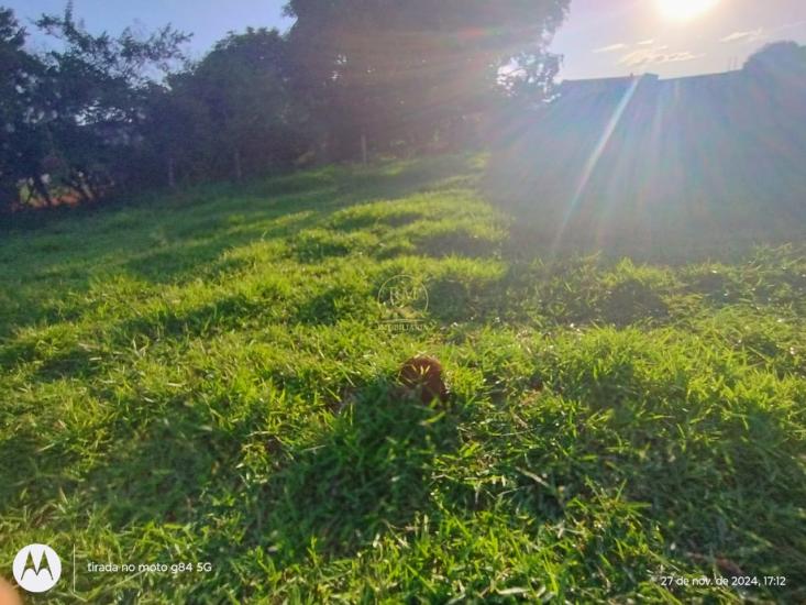 lote-venda-bairro-nossa-senhora-da-paz-em-sao-joaquim-de-bicas--1015738
