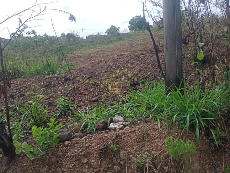 lote-venda-bairro-bela-vista-em-sao-joaquim-de-bicas--1015753