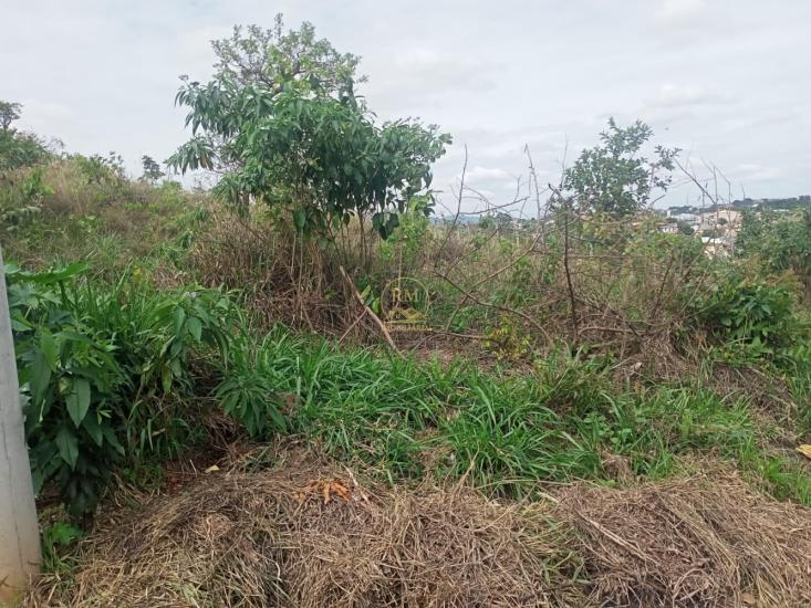 lote-venda-bairro-bela-vista-em-sao-joaquim-de-bicas--1015757