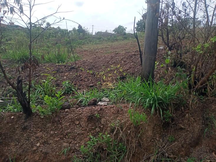 lote-venda-bairro-bela-vista-em-sao-joaquim-de-bicas--1015758