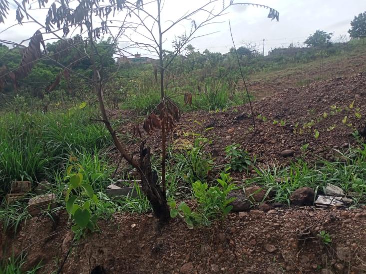 lote-venda-bairro-bela-vista-em-sao-joaquim-de-bicas--1015759