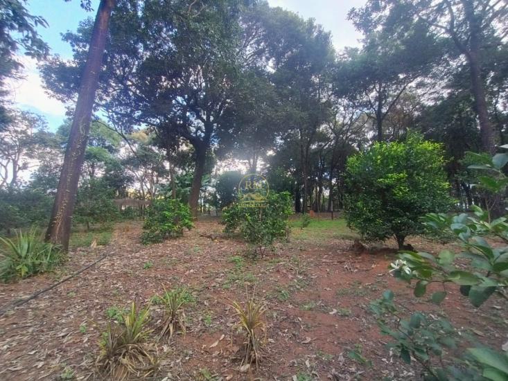 sitio-venda-bairro-iga-em-igarape--1015934