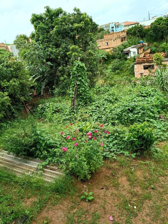 casa-venda-bairro-tiradentes-sao-joaquim-de-bicas--1083022