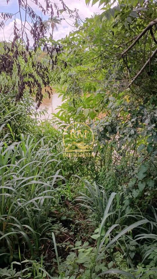 chacara-venda-bairro-primavera-sao-joaquim-de-bicas--1128093
