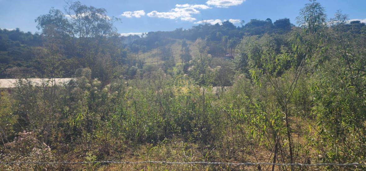 lote-venda-bairro-belo-vale-em-sao-joaquim-de-bicas--1033006