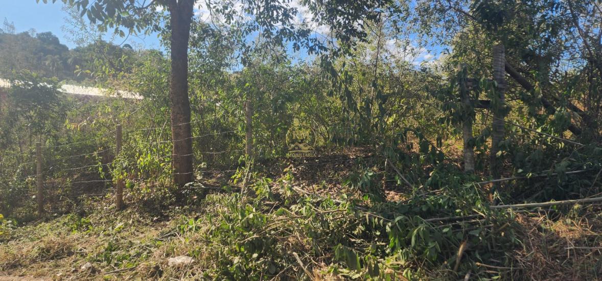 lote-venda-bairro-belo-vale-em-sao-joaquim-de-bicas--1033007