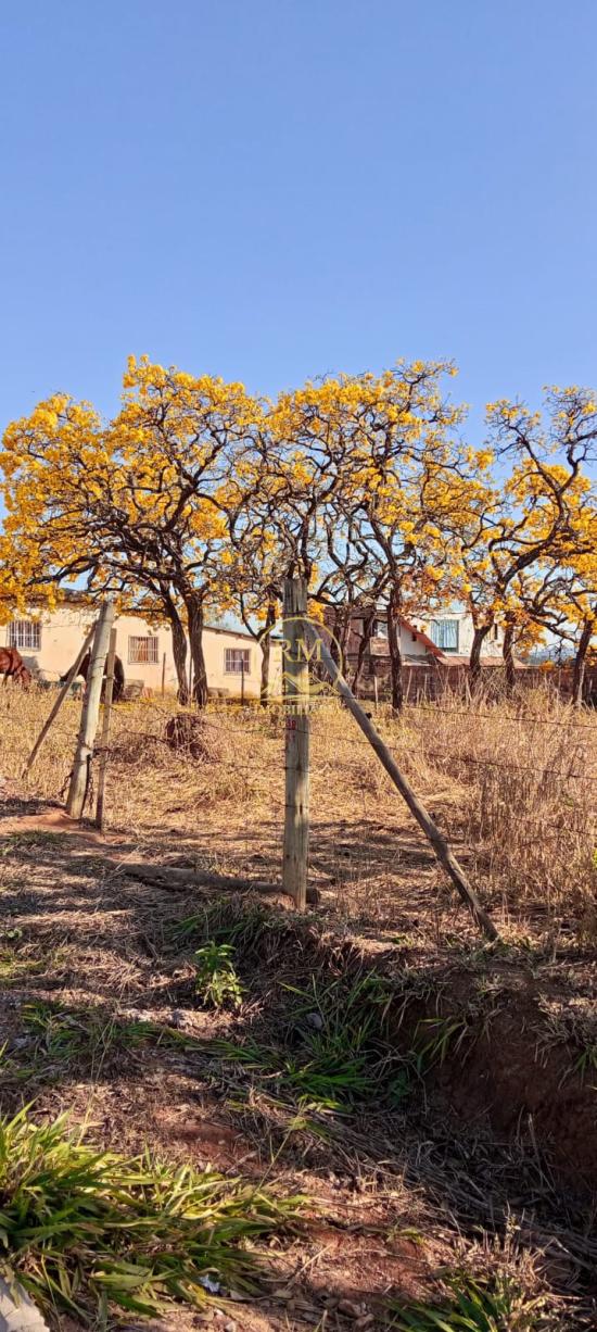 lote-venda-bairro-imperador-sao-joaquim-de-bicas--1128617