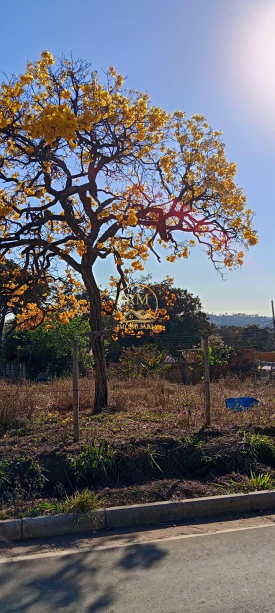 lote-venda-bairro-imperador-sao-joaquim-de-bicas--1128618