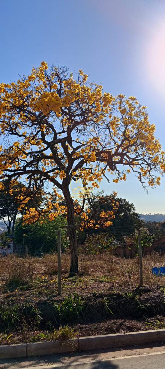 lote-venda-bairro-imperador-sao-joaquim-de-bicas--1128606