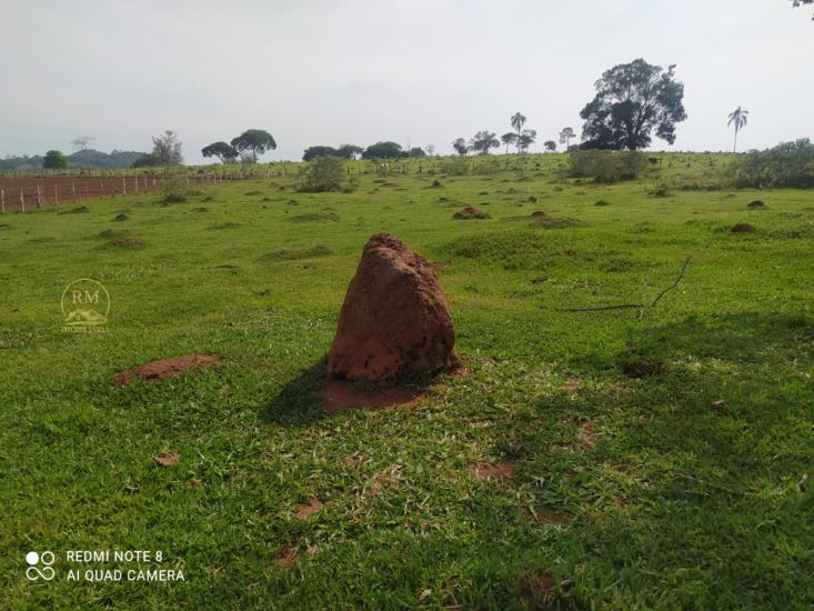area-venda-itaquara-mg-1049430