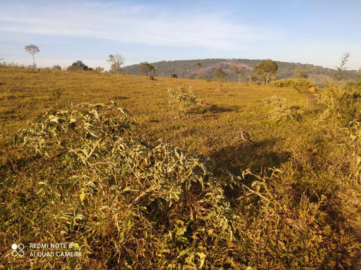 area-venda-itaquara-mg-1049440