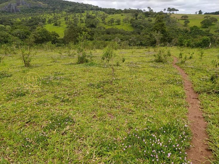 area-venda-itaquara-mg-1049443