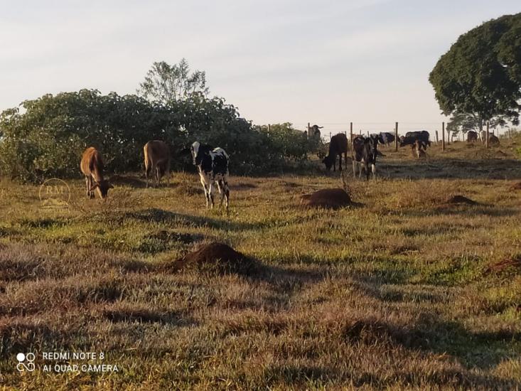 area-venda-itaquara-mg-1049447