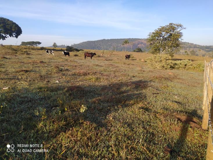 area-venda-itaquara-mg-1049433