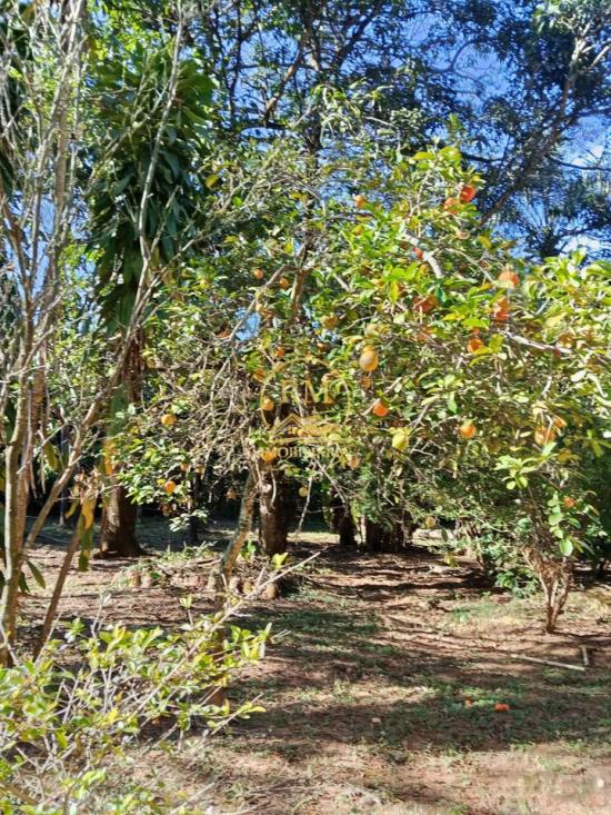 sitio-venda-bairro-paiencia-sao-joaquim-de-bicas-1138163