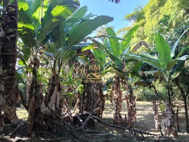 sitio-venda-bairro-paiencia-sao-joaquim-de-bicas-1138164