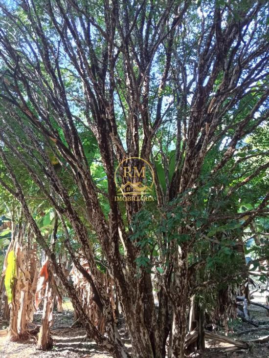 sitio-venda-bairro-paiencia-sao-joaquim-de-bicas-1138165