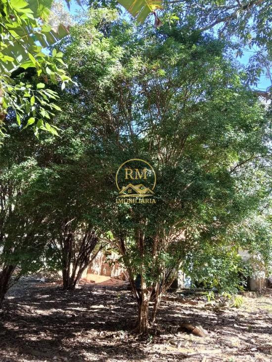 sitio-venda-bairro-paiencia-sao-joaquim-de-bicas-1138168