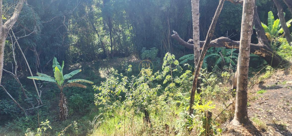 chacara-venda-bairro-nossa-senhora-de-fatima-igarape-mg-1042236