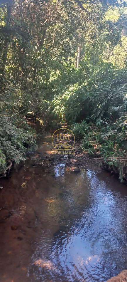 chacara-venda-bairro-nossa-senhora-da-paz-em-sao-joaquim-de-bicas-conhecido-como-farofao--1035379