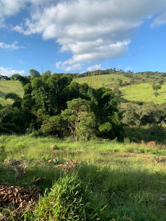 fazenda-venda-fazenda-no-bairro-passa-tempo-mg-1052860