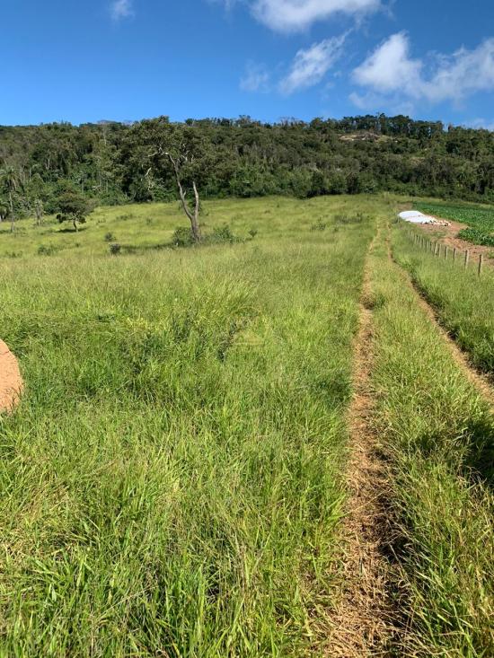 fazenda-venda-fazenda-no-bairro-passa-tempo-mg-1052861
