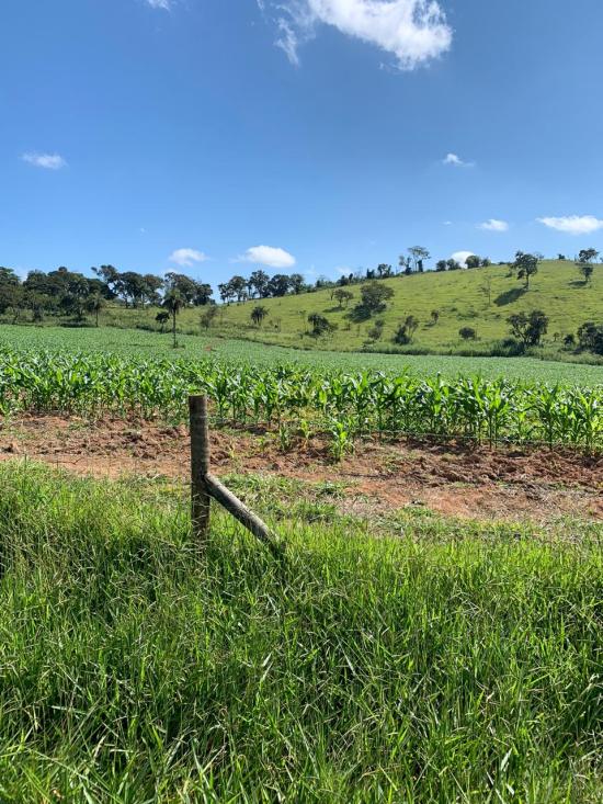 fazenda-venda-fazenda-no-bairro-passa-tempo-mg-1052862