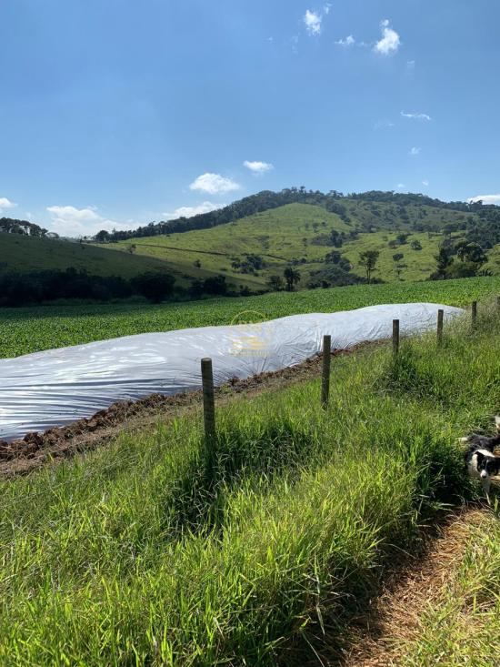 fazenda-venda-fazenda-no-bairro-passa-tempo-mg-1052864