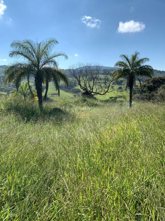 fazenda-venda-fazenda-no-bairro-passa-tempo-mg-1052848