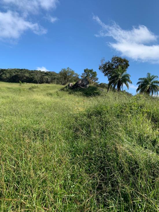 fazenda-venda-fazenda-no-bairro-passa-tempo-mg-1052851