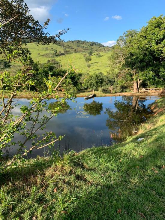 fazenda-venda-fazenda-no-bairro-passa-tempo-mg-1052852