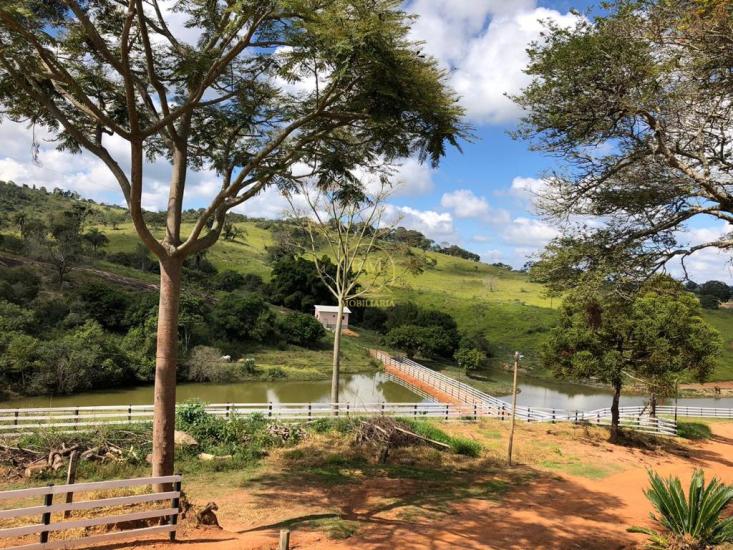 fazenda-venda-fazenda-no-bairro-passa-tempo-mg-1052854