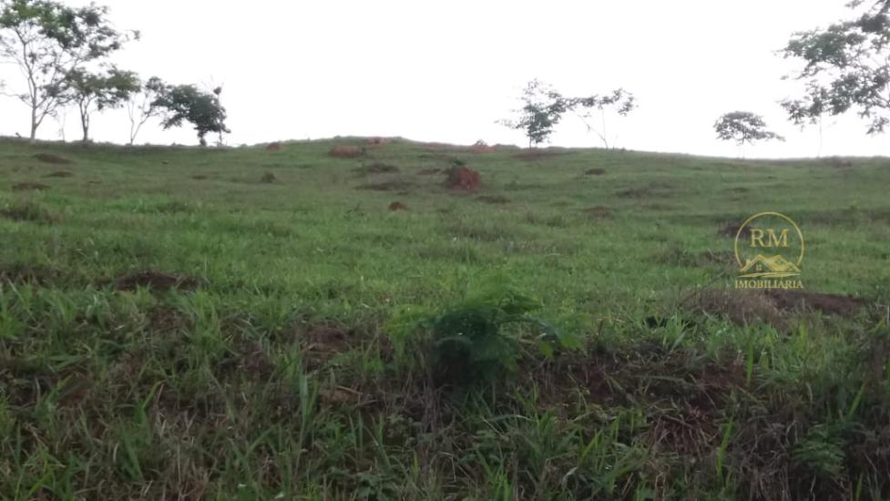 fazenda-venda-bairro-carmopolis-de-minas-mg--1052866