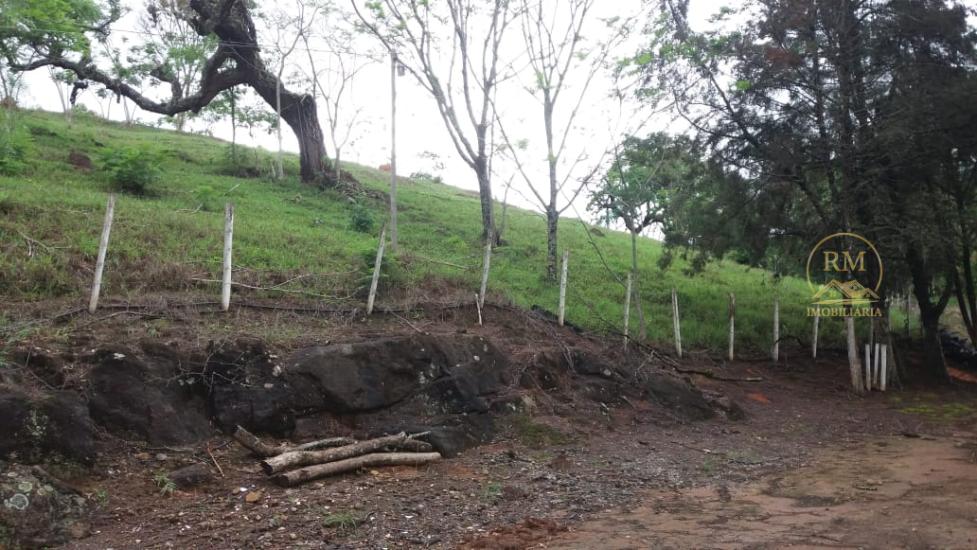 fazenda-venda-bairro-carmopolis-de-minas-mg--1052876