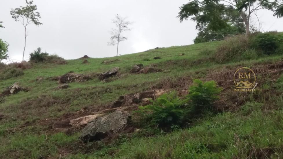 fazenda-venda-bairro-carmopolis-de-minas-mg--1052870
