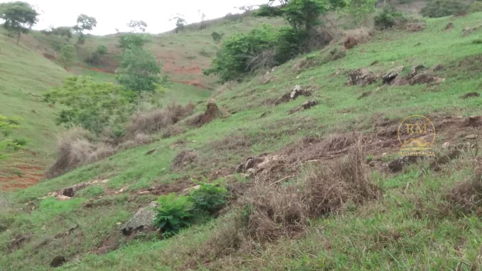 fazenda-venda-bairro-carmopolis-de-minas-mg--1052872