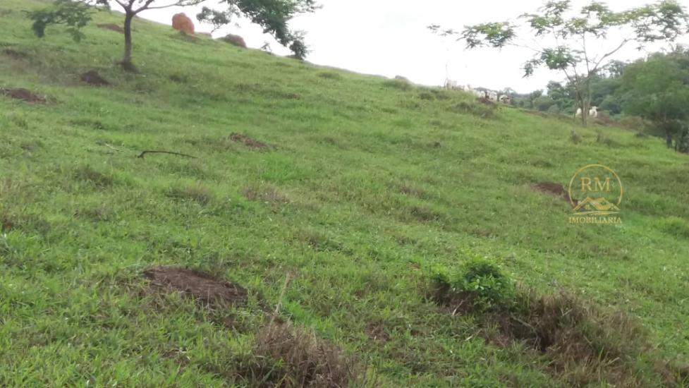 fazenda-venda-bairro-carmopolis-de-minas-mg--1052873