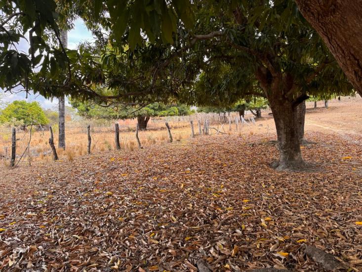 fazenda-venda-olhos-da-agua-norte-de-minas-mg--1053922