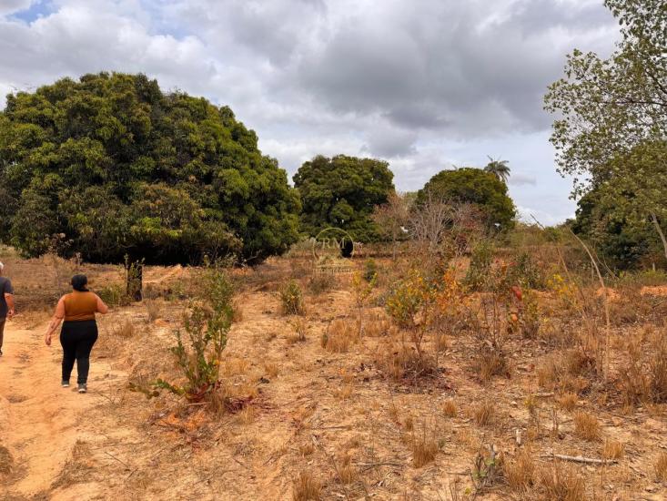 fazenda-venda-olhos-da-agua-norte-de-minas-mg--1053925