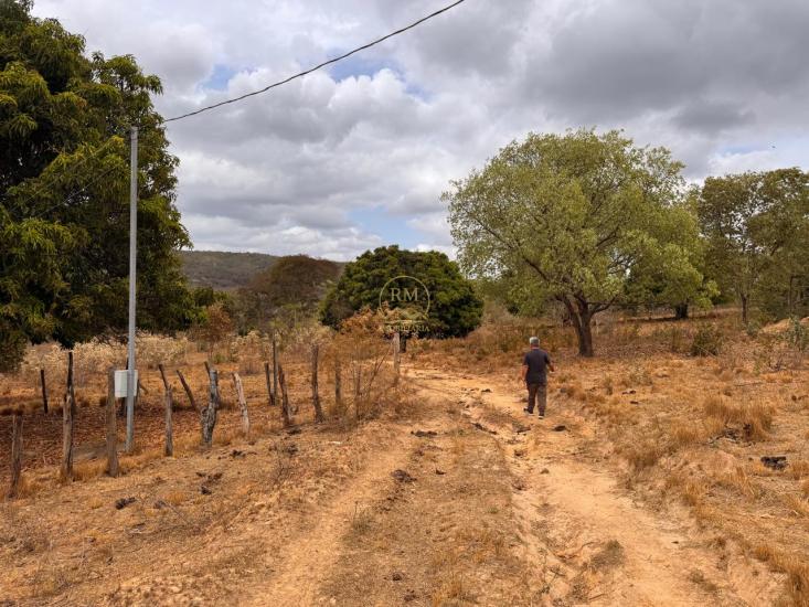 fazenda-venda-olhos-da-agua-norte-de-minas-mg--1053927