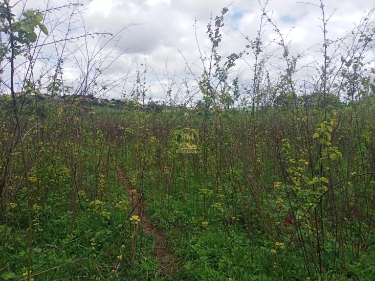 area-venda-estrada-sentido-a-brumadinho--1022304