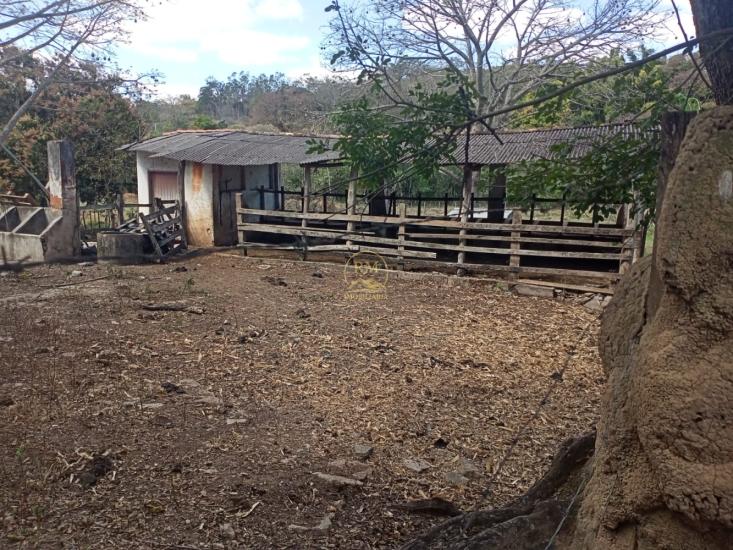 area-venda-area-entre-carmopolis-e-oliveira--1022399