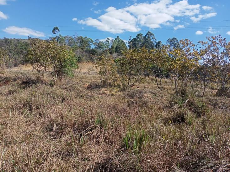 area-venda-area-entre-carmopolis-e-oliveira--1022408