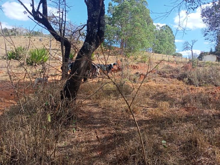 area-venda-area-entre-carmopolis-e-oliveira--1022411