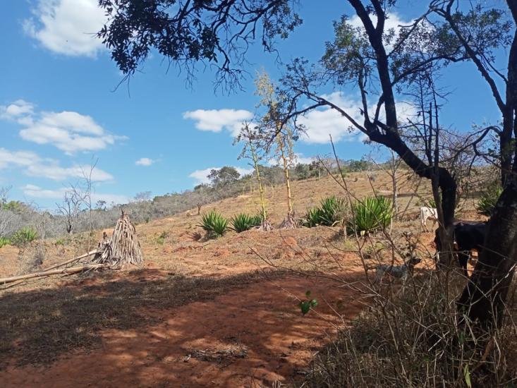 area-venda-area-entre-carmopolis-e-oliveira--1022417