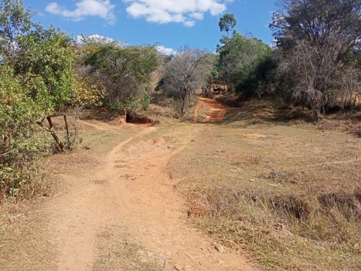 area-venda-area-entre-carmopolis-e-oliveira--1022400