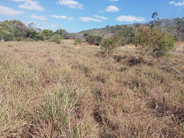 area-venda-area-entre-carmopolis-e-oliveira--1022403